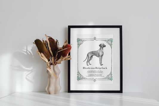 Vintage Rhodesian Ridgeback Print, Illustrated Dog Poem, Antique Style Rhodesian Ridgeback Sketch