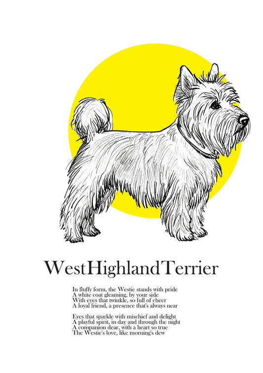 Original West Highland Terrier Drawing, Westie Fine Art Print and Mount included