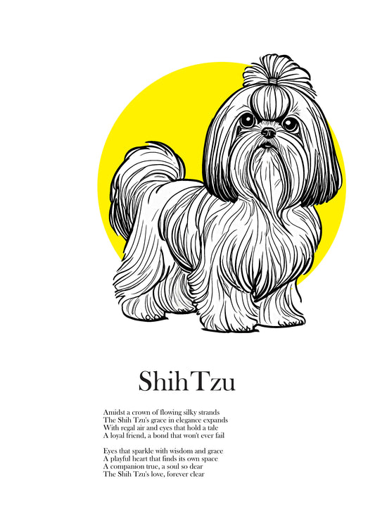 Original Shih Tzu Drawing, Fine Art Print and Mount included