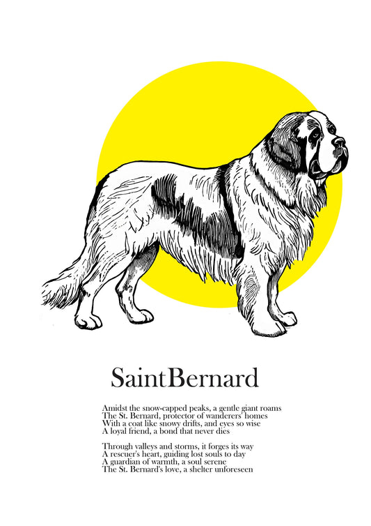 Original St. Bernard Drawing, Saint Bernard Fine Art Print and Mount included